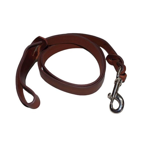 All-in-One Men's Genuine Leather Belt, Dog Collar, and Dog Leash Set - Picture 9 of 12